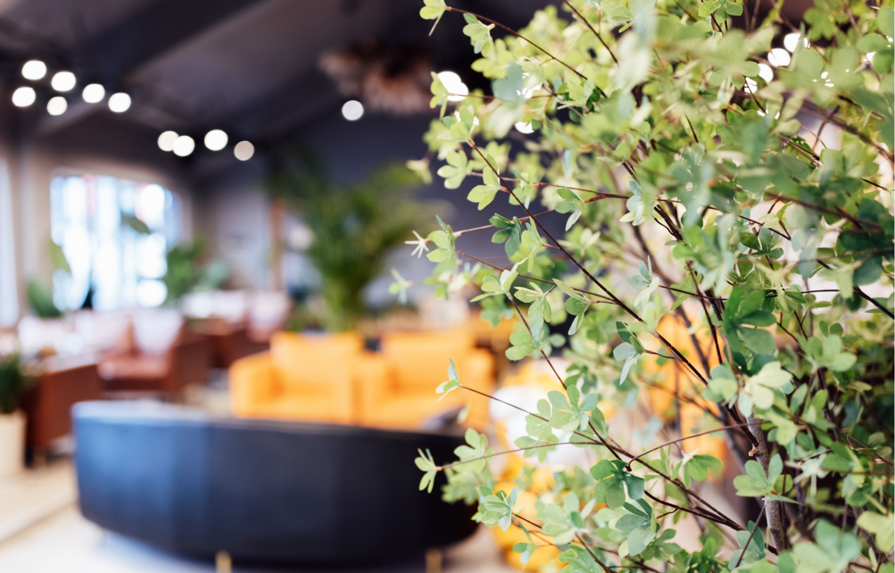 Message メッセージ