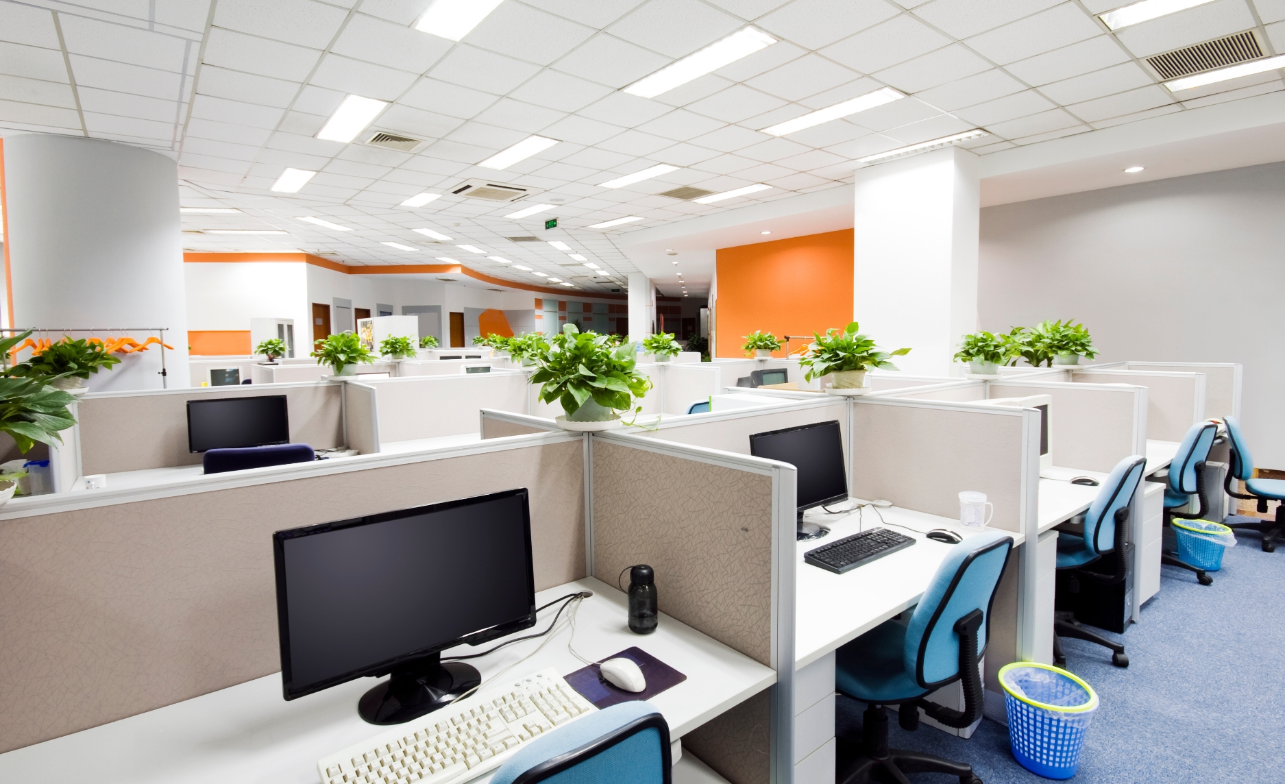 About Us 会社について