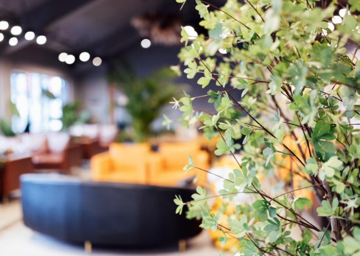 Message メッセージ